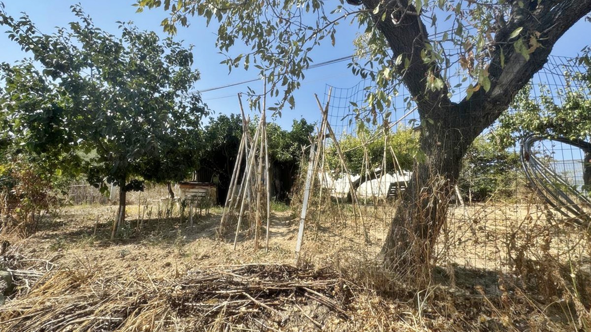 Realizza Casa - Montesilvano - casa singola 027