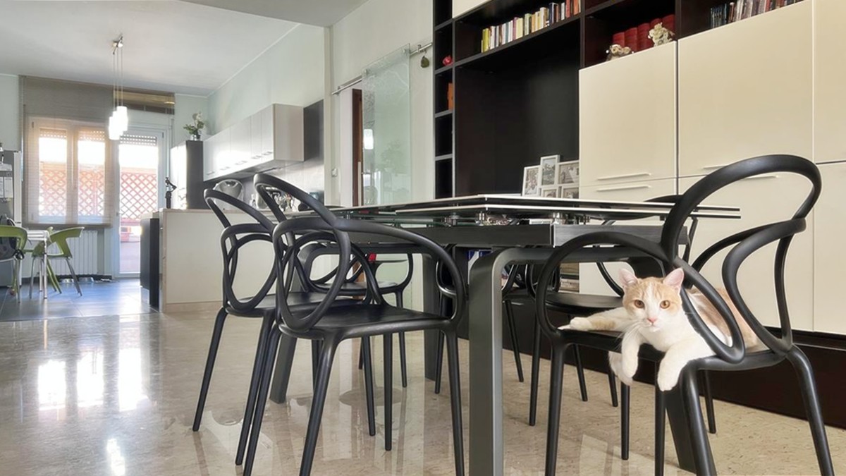 Realizza Casa - Pescara - colle pineta - appartamento con garage009